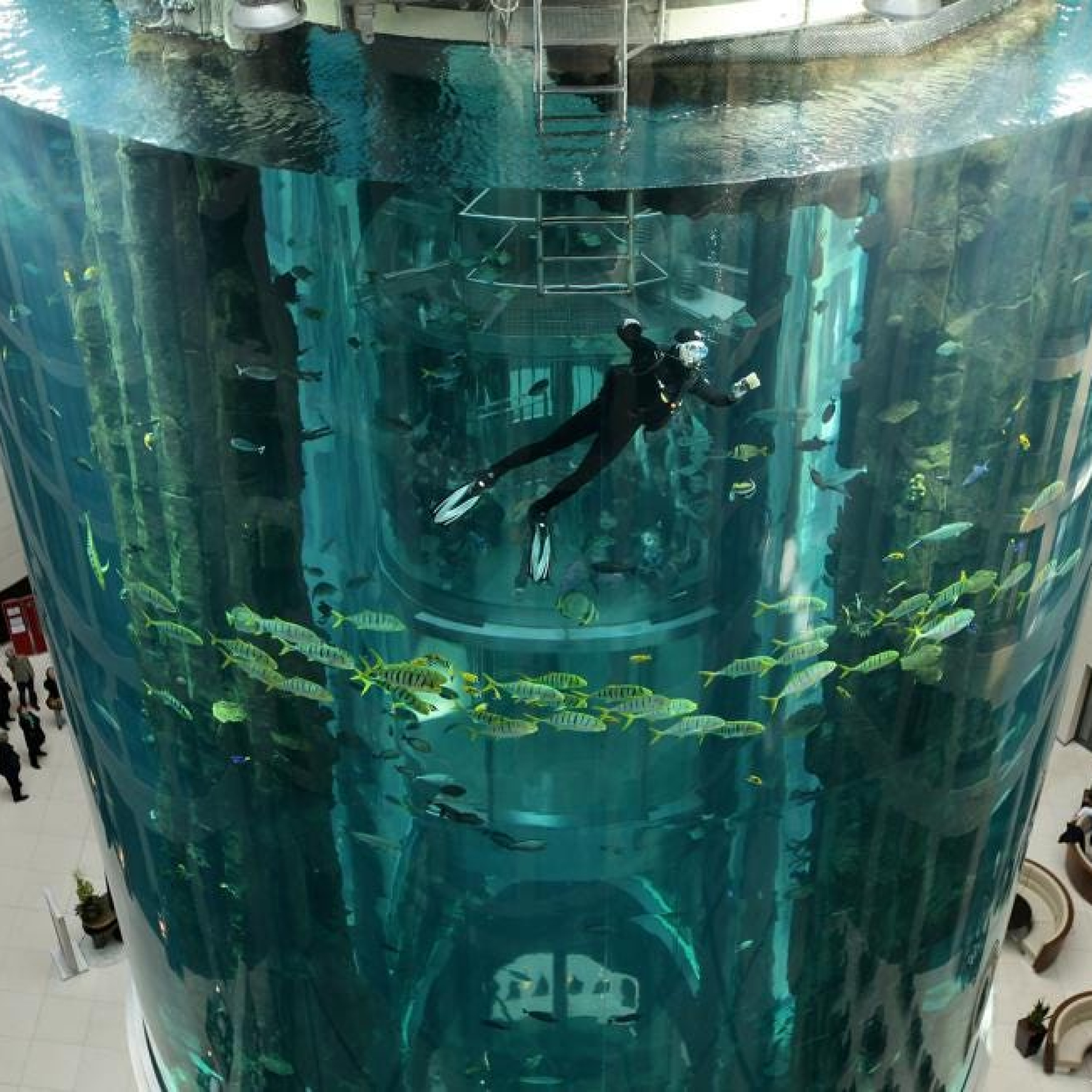 Berlin AquaDom aquarium