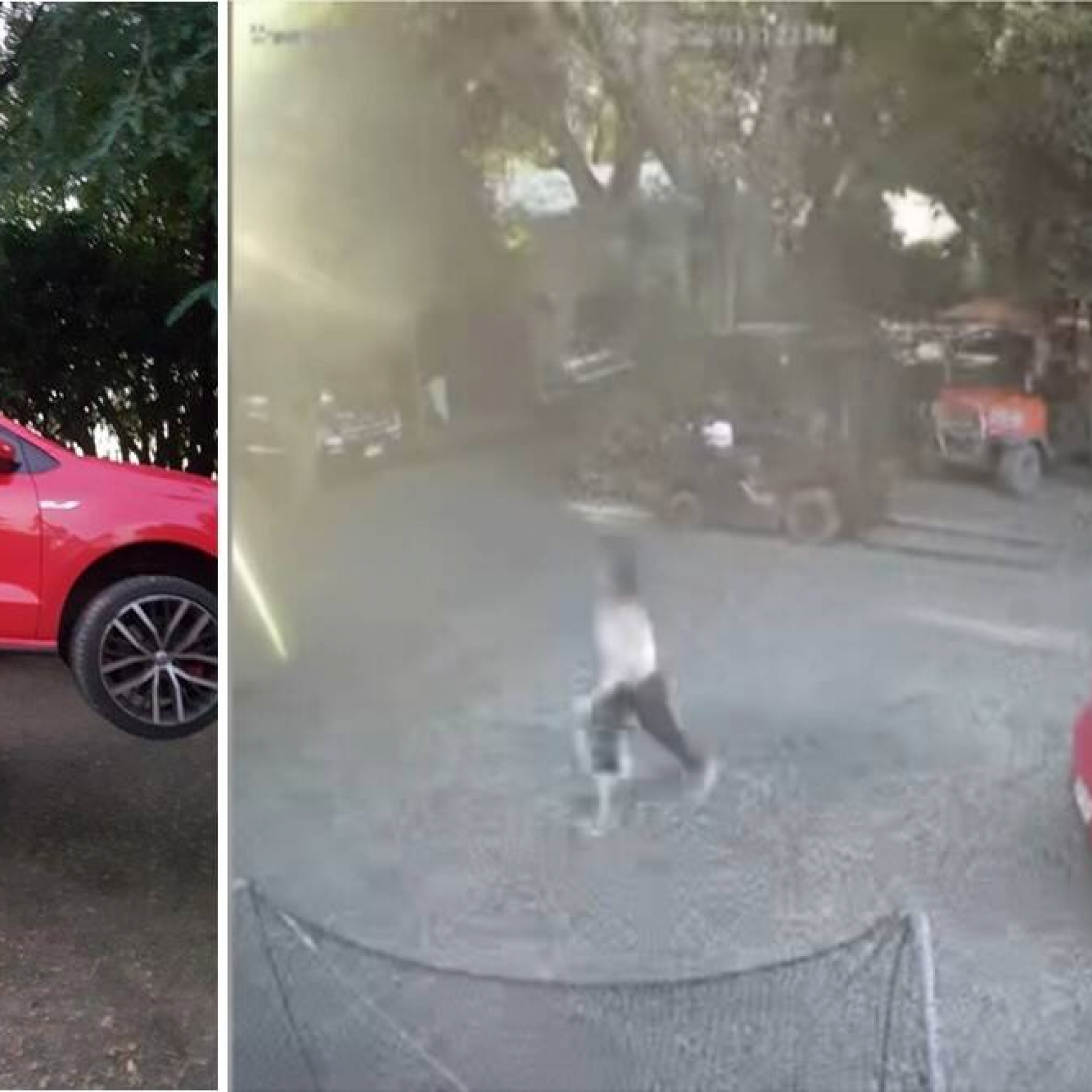 car-forklift-theif