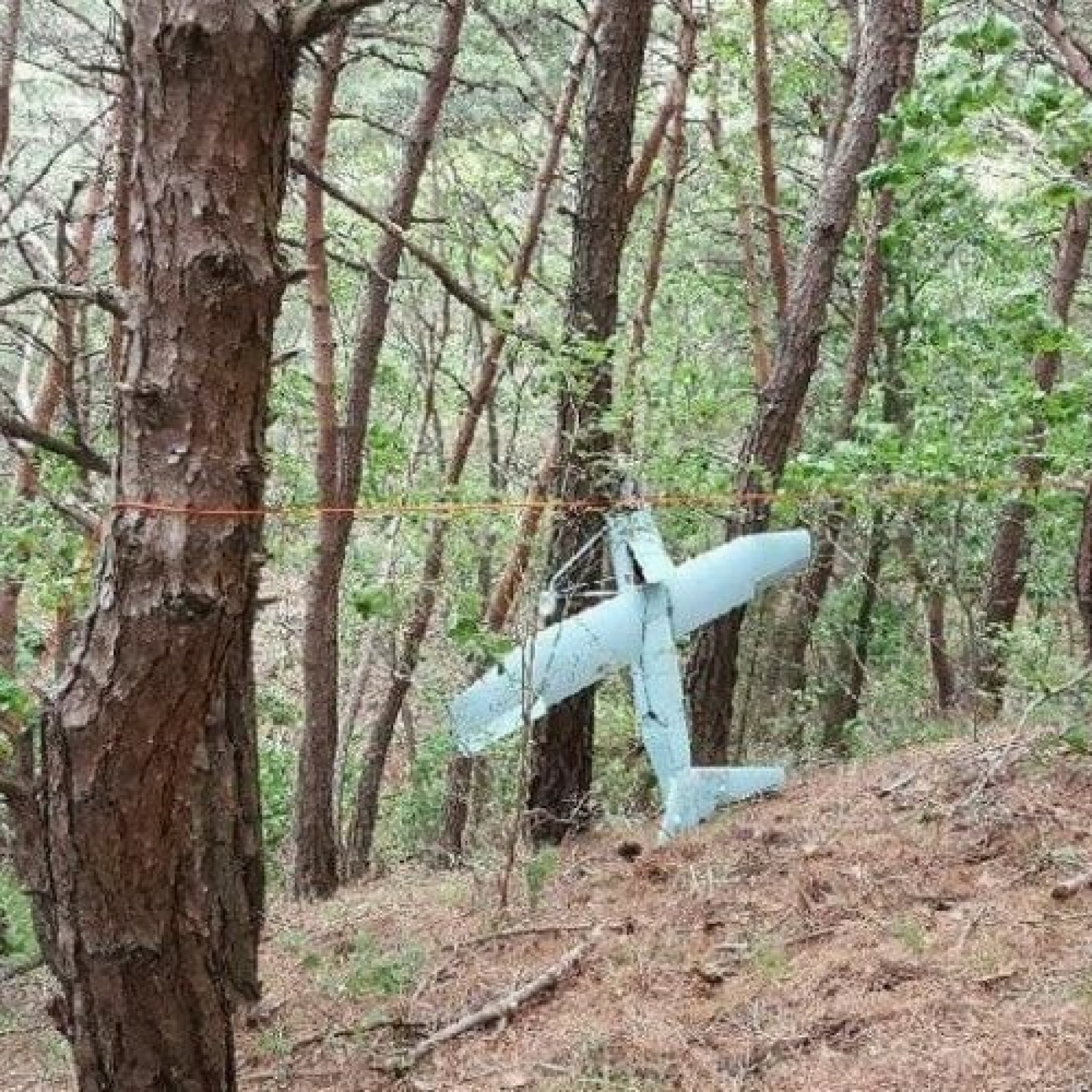 North Korean drones have crossed the border before