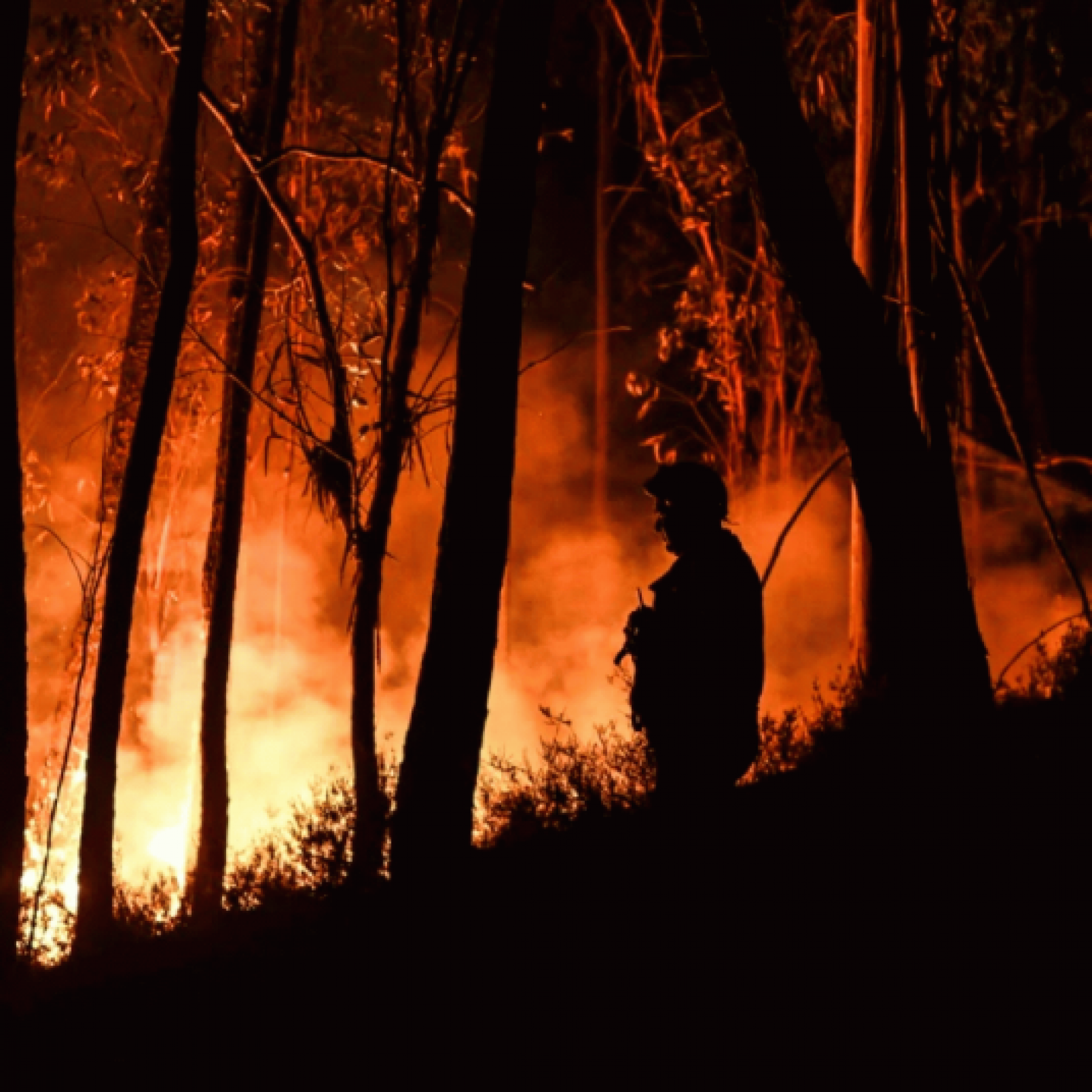 Portugal battles wildfires amid drought heat 29 injured