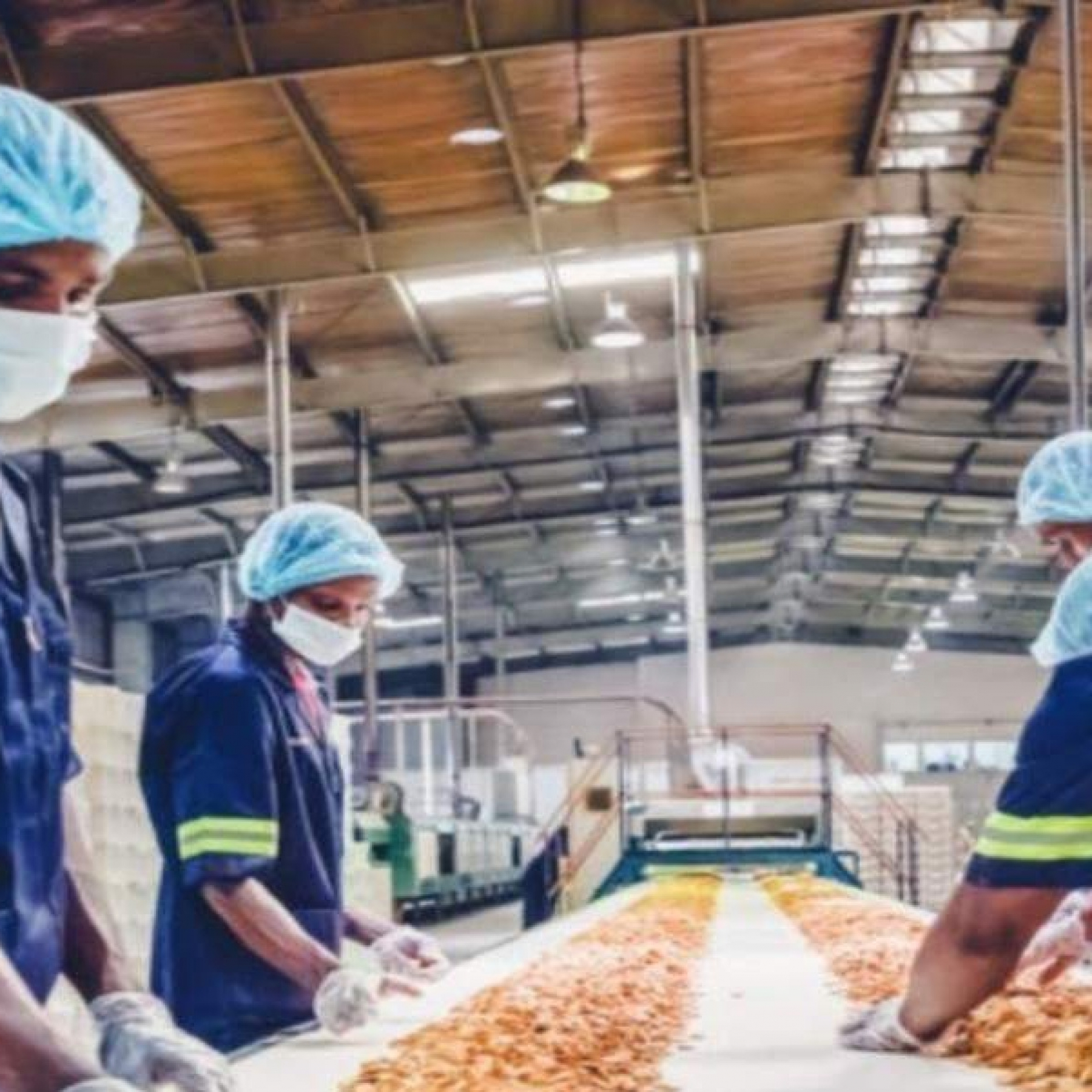 govt-approves-792-private-food-processing-projects-so-far
