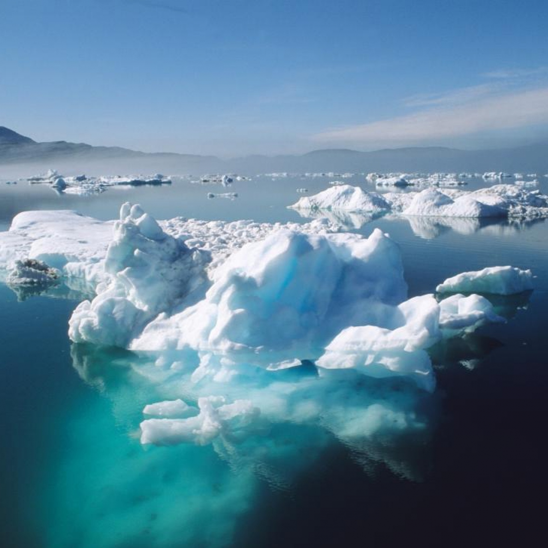 icebergs