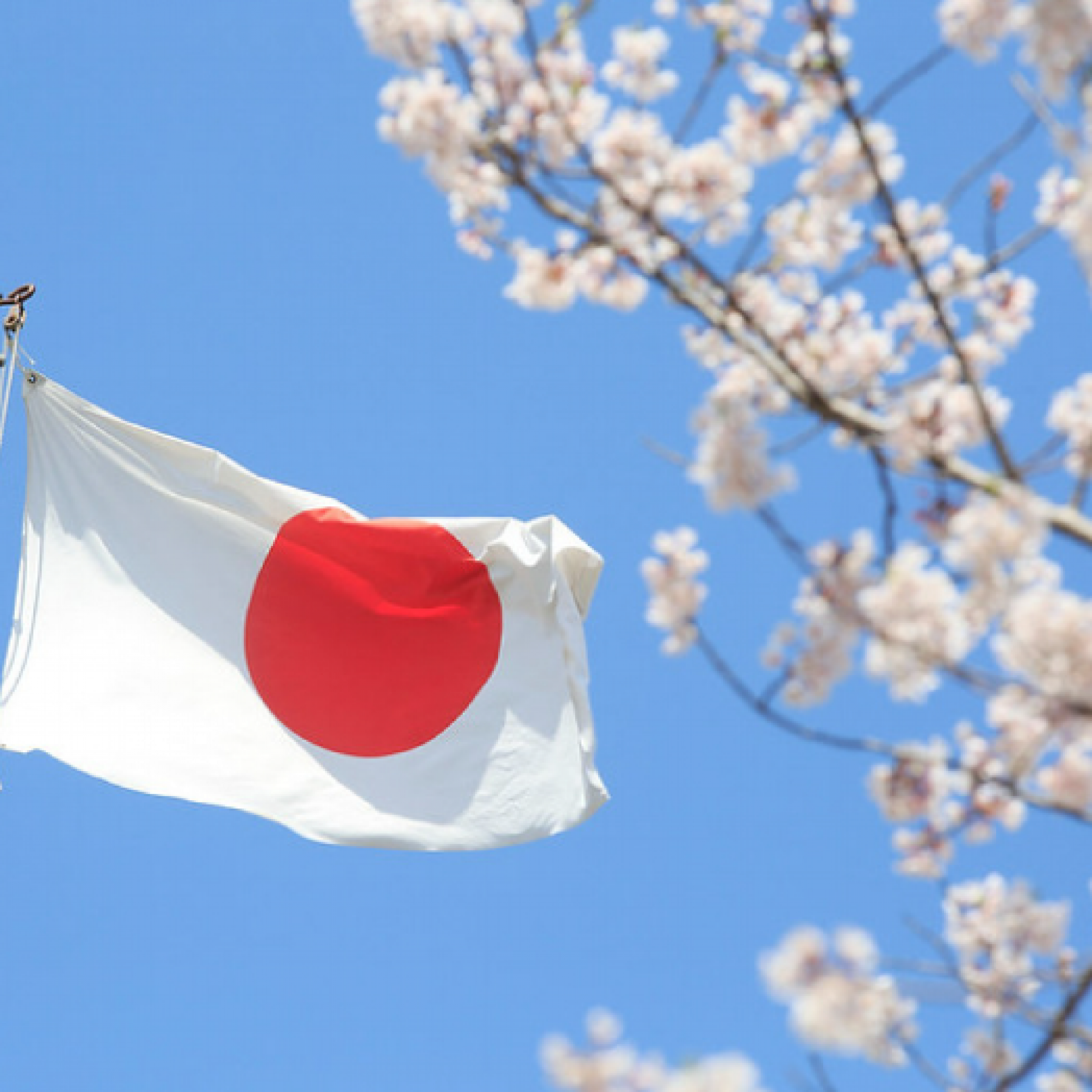 Outages disrupt services at Japans No. 2 telecoms carrier