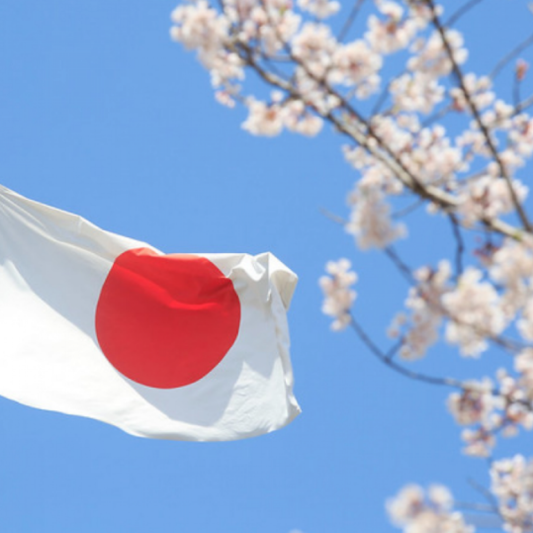 Outages disrupt services at Japans No. 2 telecoms carrier