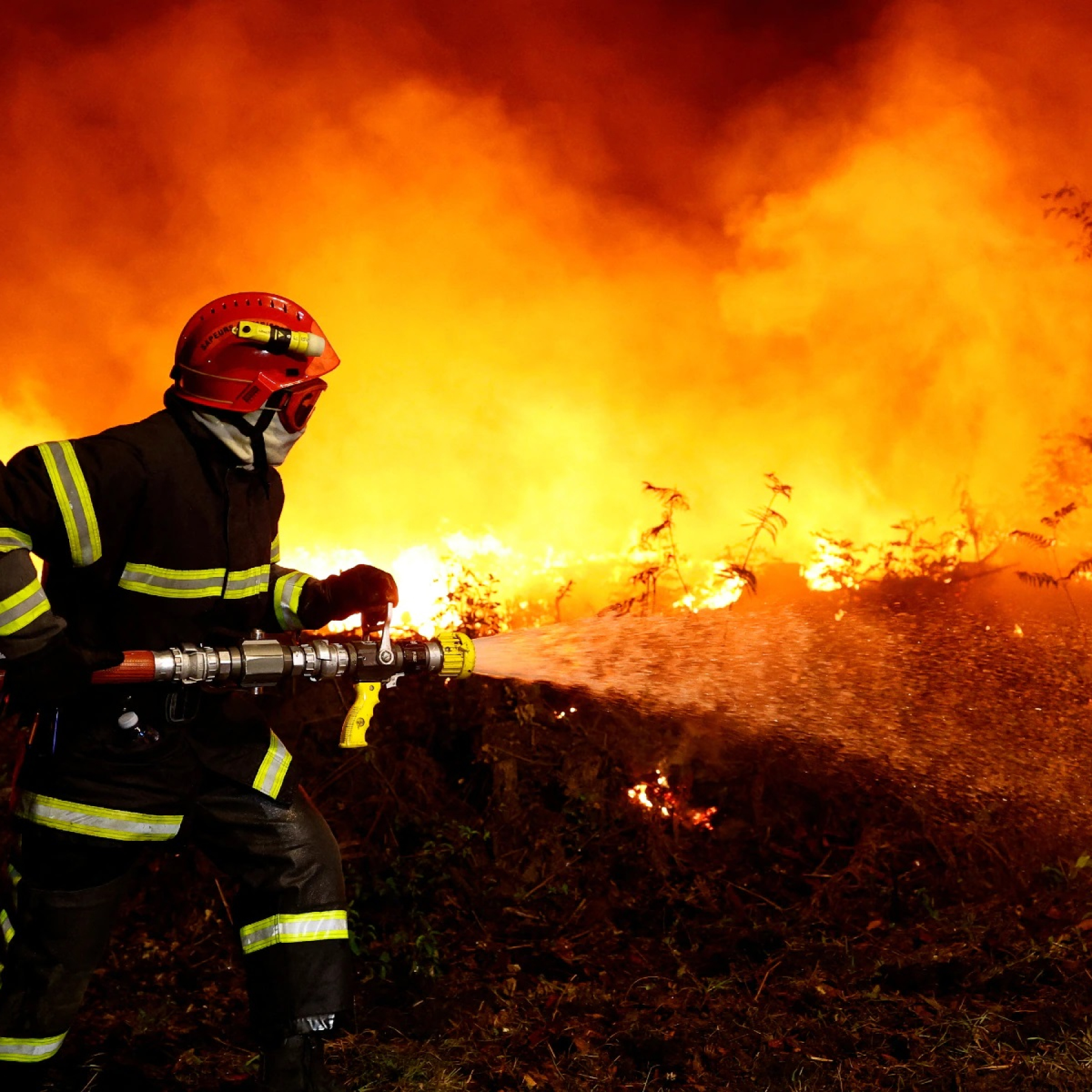 France on High Alert as Wildfire Grips Country and its Neighbours