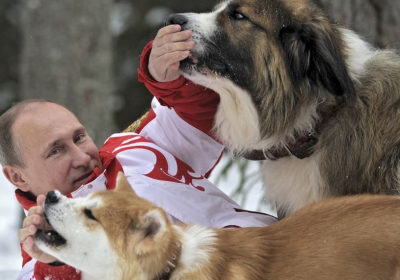 _124077892_putin_dogs2