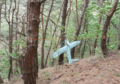 North Korean drones have crossed the border before