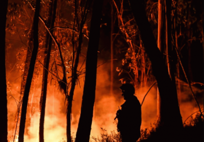 Portugal battles wildfires amid drought heat 29 injured