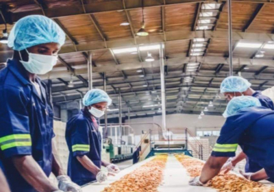 govt-approves-792-private-food-processing-projects-so-far