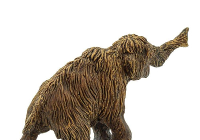 Canadian gold miners discover rare mummified baby woolly mammoth with skin and hair